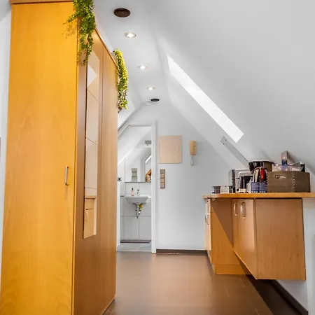 Apartment Gesamte - Büro - Küche - Netflix
