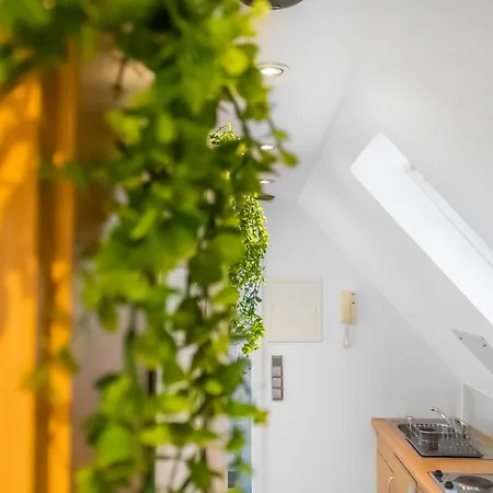 Gesamte - Buero - Kueche - Netflix Apartment Nuremberg